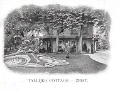 Driebergseweg0012, Villa Tallyho Cottage. 1902